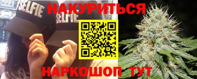 гидропоника Гатчина