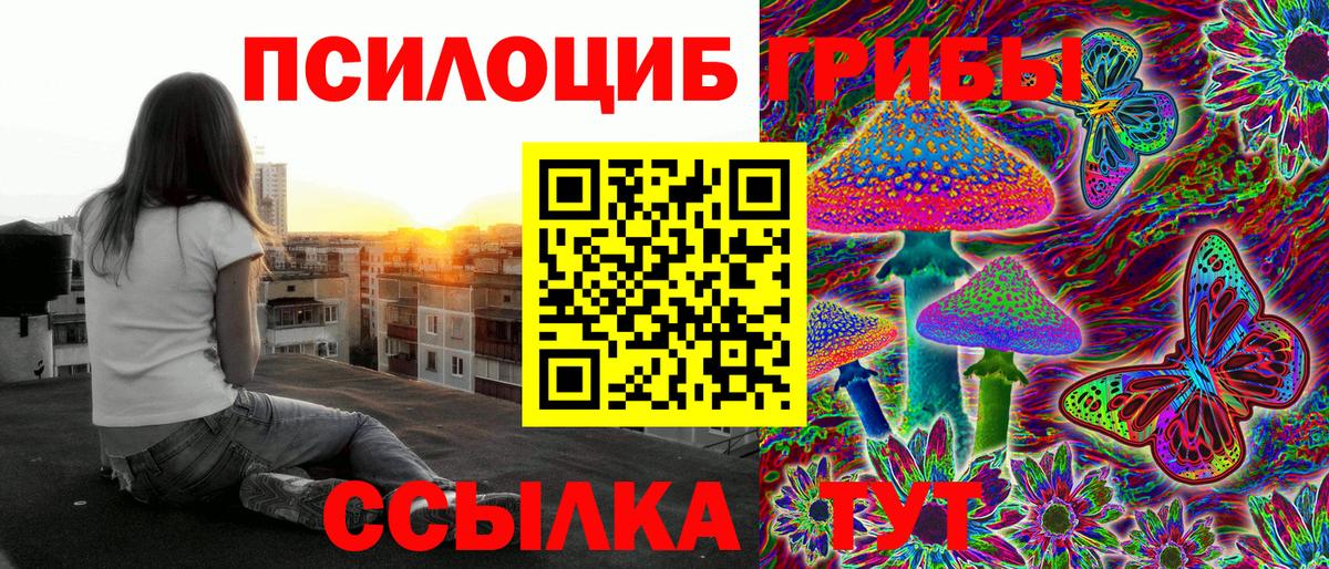 Псилоцибиновые грибы GOLDEN TEACHER  Вход с VPN  Троицк  Галлюциногенные грибы MAGIC MUSHROOMS 