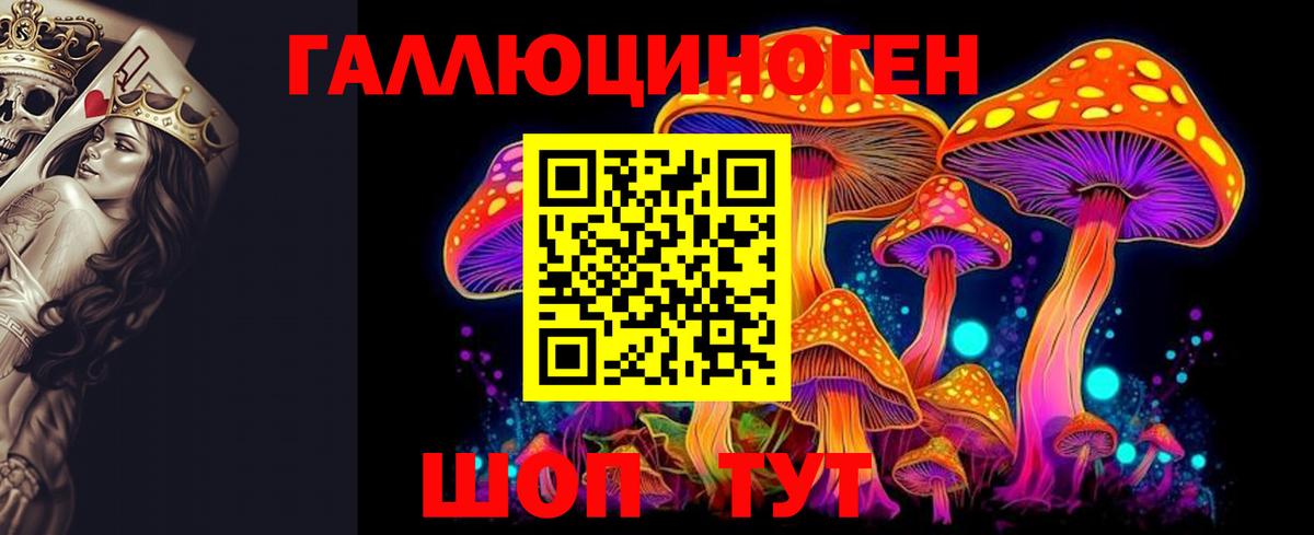 Галлюциногенные грибы Psilocybe Троицк